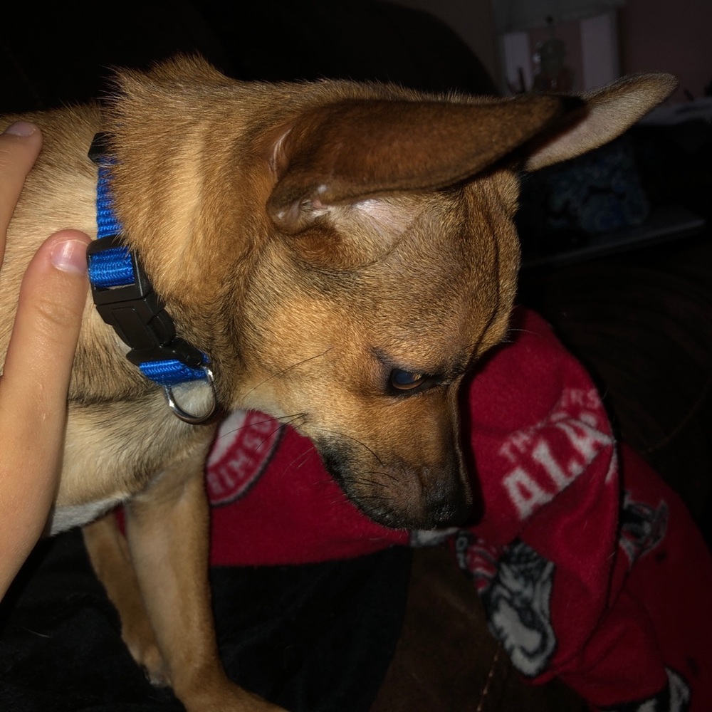 Meet your Posher, Jordan